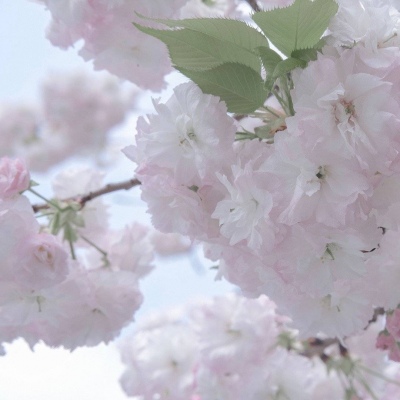 兽设比例设计基础教程福瑞交流群